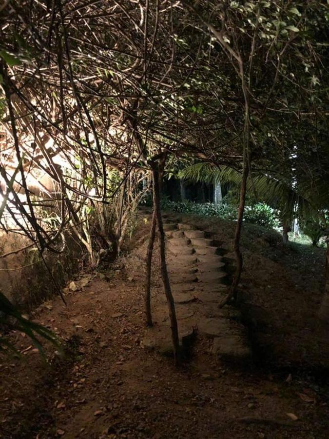 Plasencia Estate Omoa Exterior photo