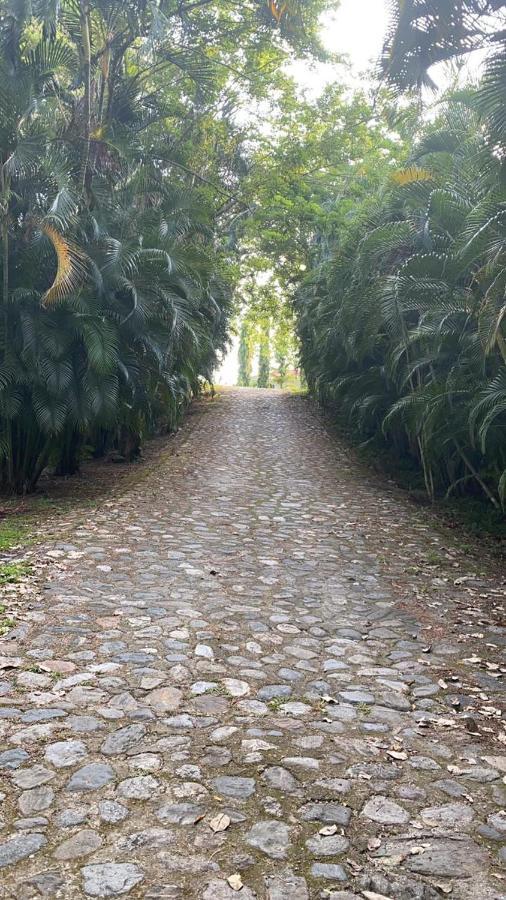 Plasencia Estate Omoa Exterior photo